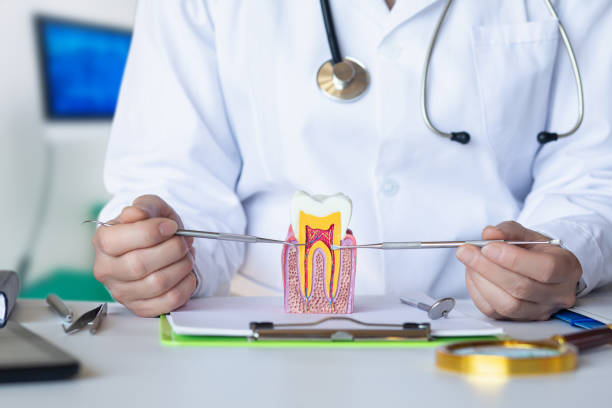Best Emergency Root Canal Treatment in Covington, KY
